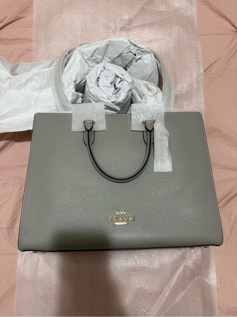 Coach Maggie Tote Bag
